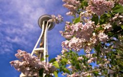 4 Skin Care Tips for Spring in Seattle