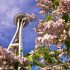 4 Skin Care Tips for Spring in Seattle