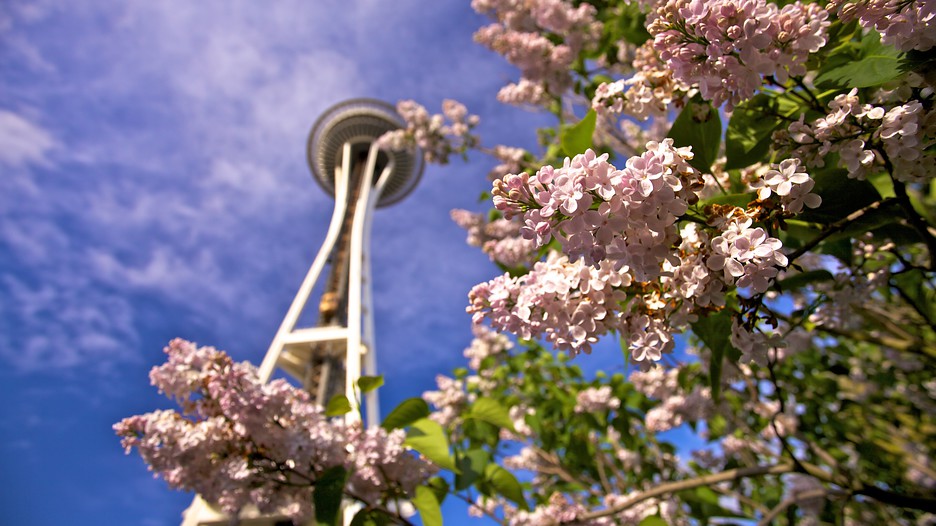4 Skin Care Tips for Spring in Seattle